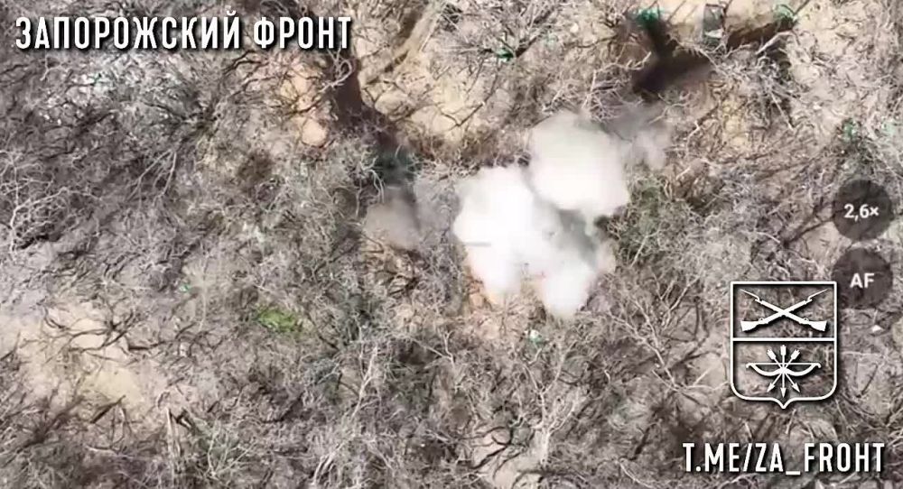 �������� �������� ���� 1 ��������� 429 ����� � �������� "�����" �������� �������� ��� �� ����������� �����������