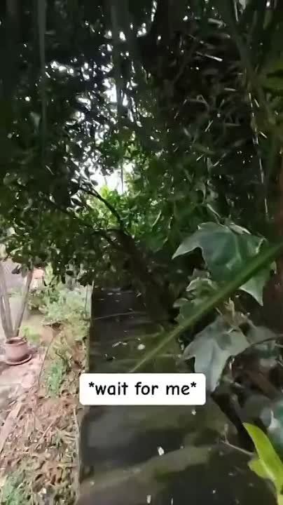 ����� �� ������� ������� �� ������ ���� ������, ����� ������, ��� �������� ��������� ������ �����