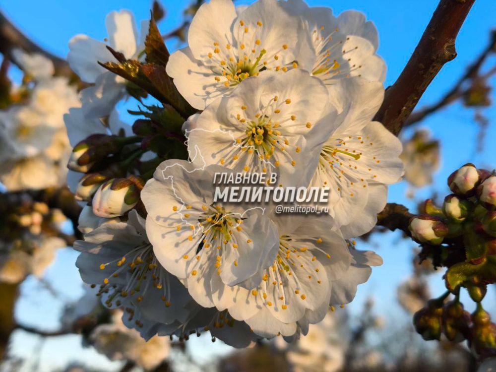 � ���������� ������� ���� ����������� ������� � ������ ����� ����� ����� ����������� ������� ������