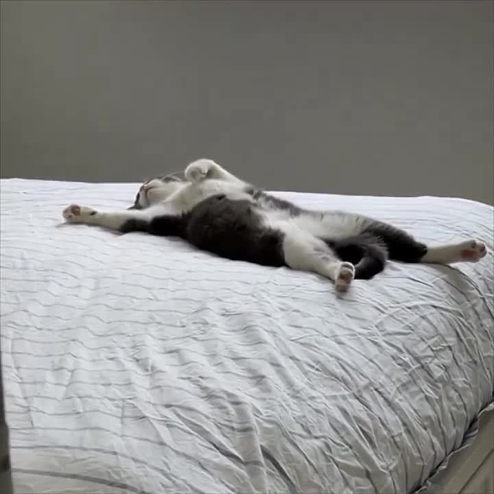 ������ ����, ������!. � ������ ���� ����� �����������! �������������� ��