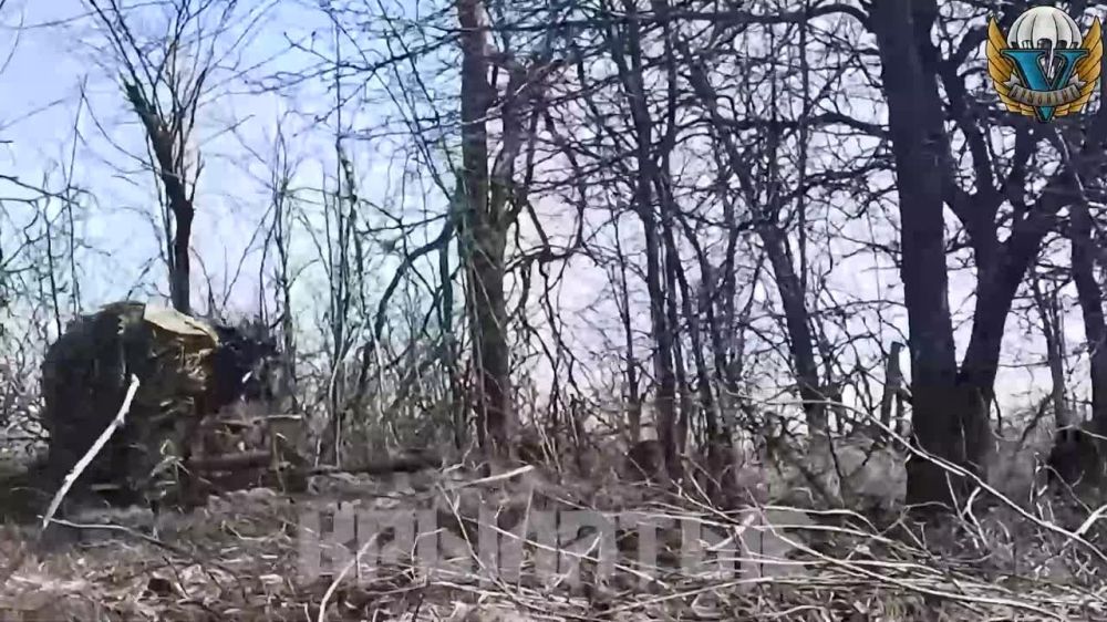 ����� �����: �������� ����������������� ������������� ��������� ����� ��� ������� ������ ��� ������ �� ������ �� �������� ���� ��� ���� ����� ���