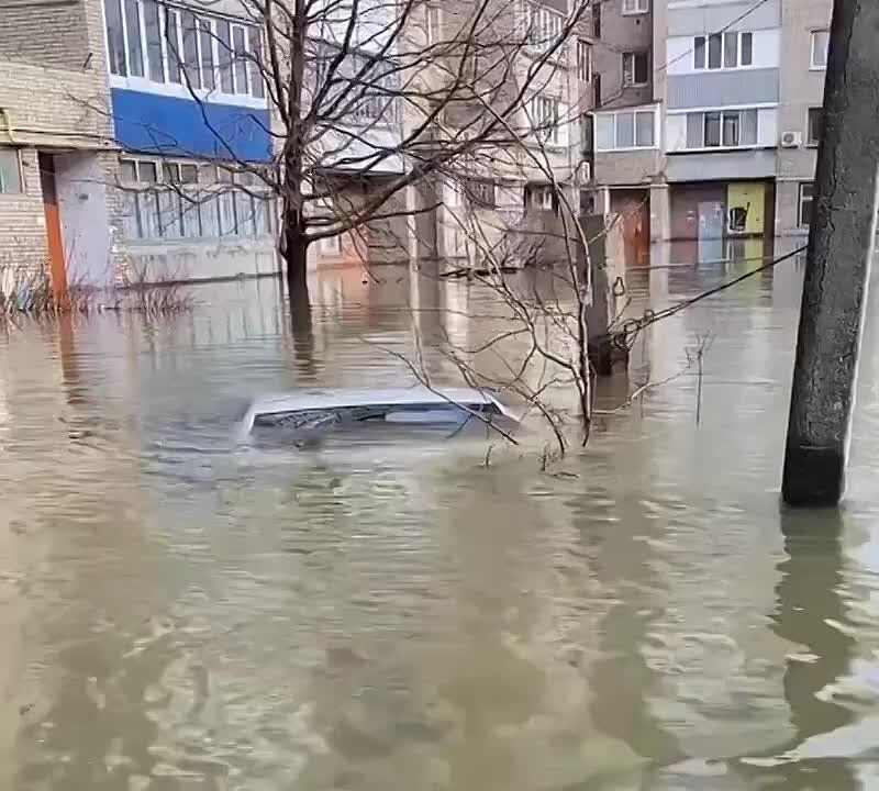 ����� 10 ���. ����� �������� ������������� � ������������ �������