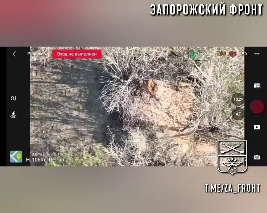 ���� �� ������ ����� �� ������� ������������ ������
