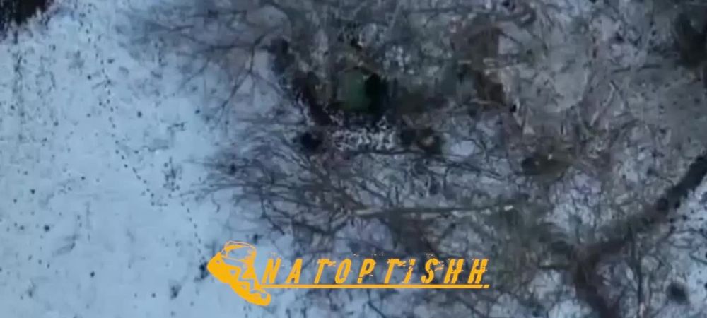 ��������� ���� ����������� ��������� ��������������� ������� ���������� �������� ��� ����� ����������� ���������