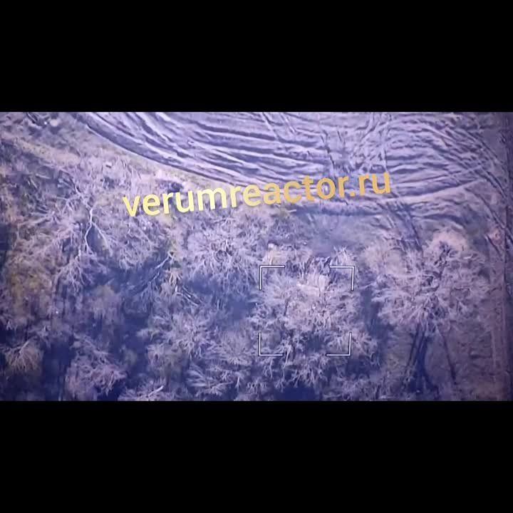 ���������� 6 ��� ����� ����������� ����� � ���� ��������������� ������, ��������� ������������ ��������� "����������", ���������� ��� 2�3 "������" ��� �� ����� ������ ������������ �����������