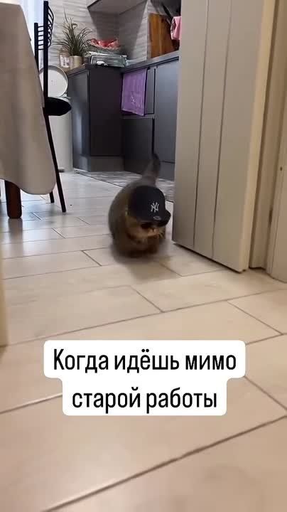 ������ ����, ������!!! 8 ������ 2024 �., �����������