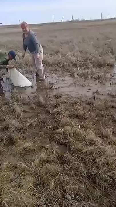 � ������������ ������� ����� ������� ���� ����� ���� �������