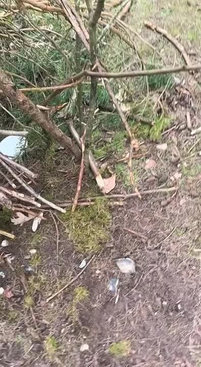 ����!. ��������� ��������!! �������������� ��