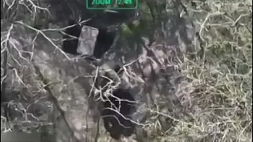 ������� �������: �������, �� ��������� ��������, ���������, ���������