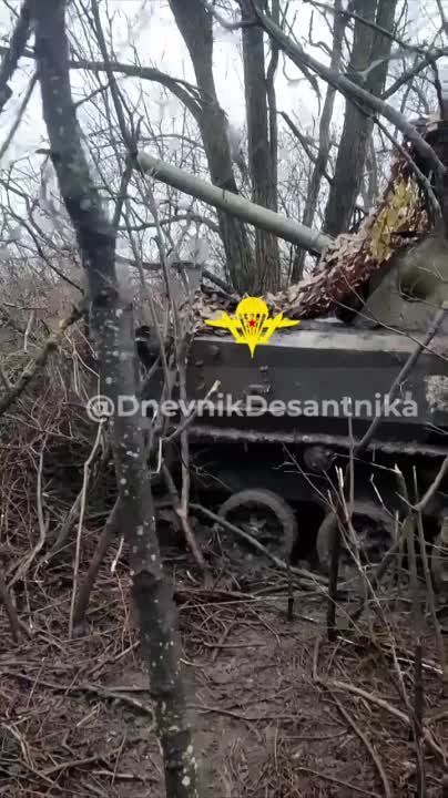 ����������� �����������
