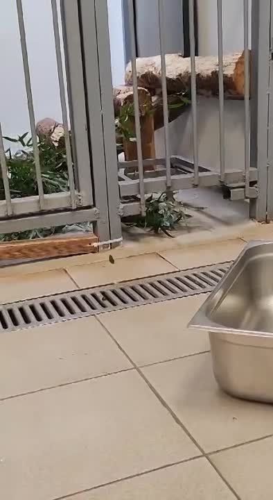 ���!!! ������))) �����))