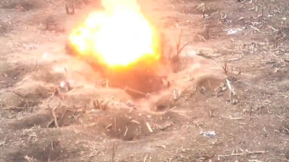 ������� ���� ��������������� ���������� �������� � �������� � ��������