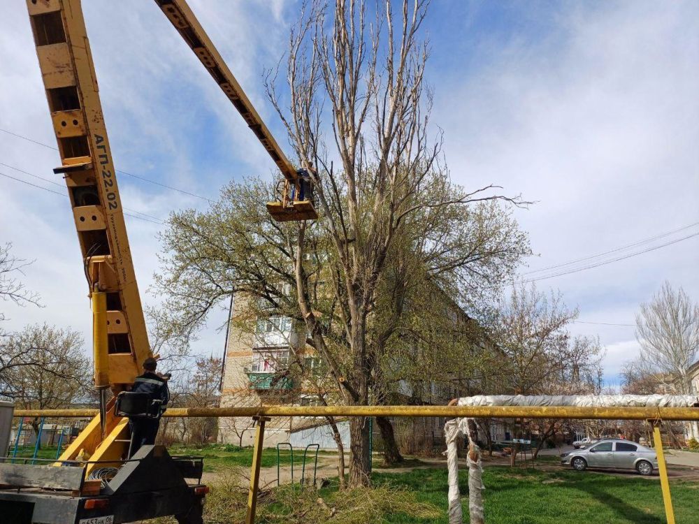 В Токмаке пензенцы опиливают аварийные деревья, растущие около детских площадок
