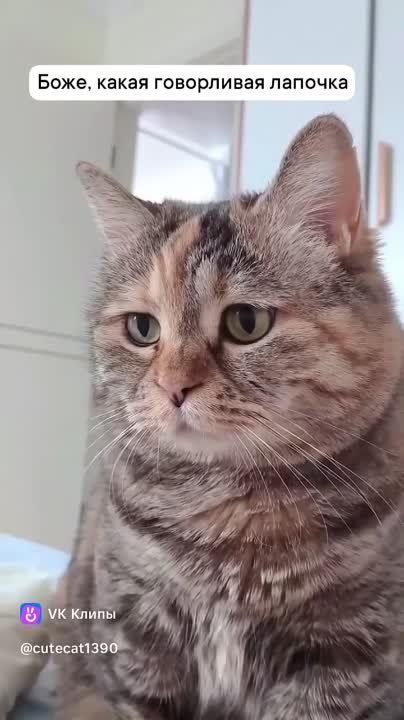 ������ ����!