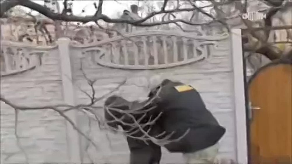 �������� �����: ����� ���������� ���������� ����������, ���������� ������ � ��������� ���������� ��������������