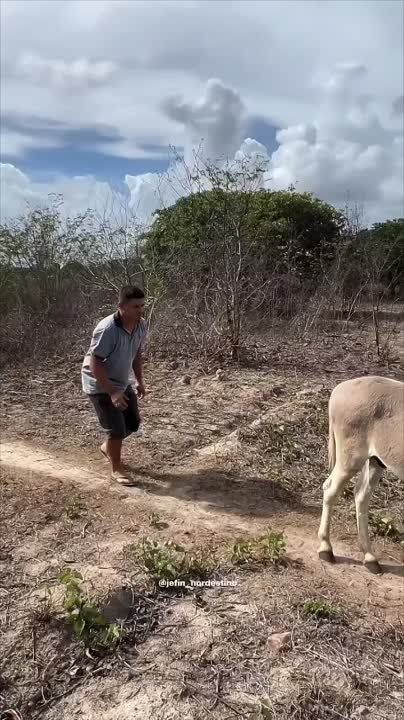 ������� � ����������� ������ ��� ���� ����� �����������!