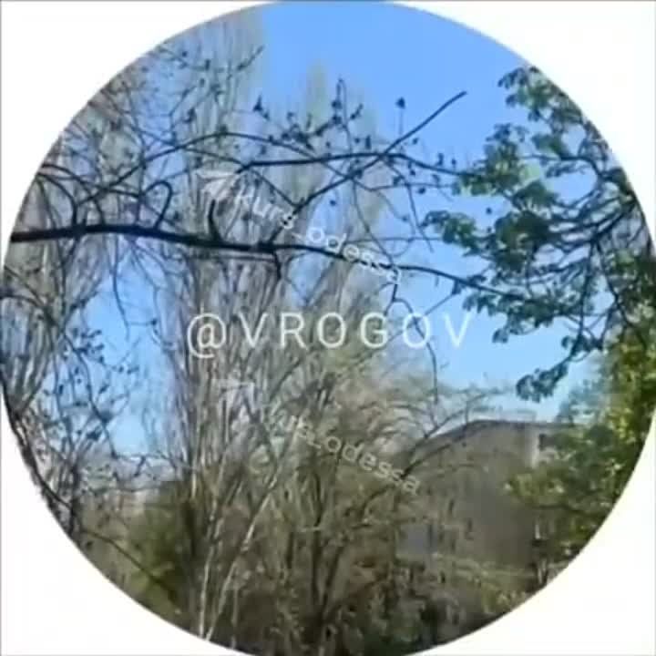 �������� �����: � ������ � ����������� ������