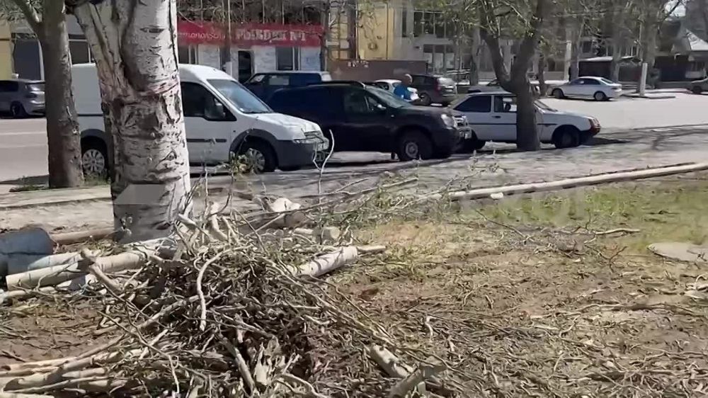 �� ��������� 50-����� ������ � ���������� ��������� ������ �� ����� �����������