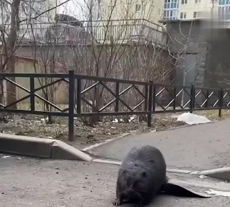 ��������� ������ � ������
