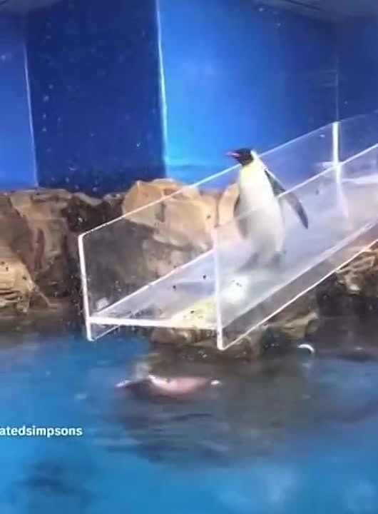 ���������� ����� ���������