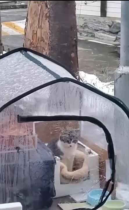 ������ ������� ��� ���������� ������