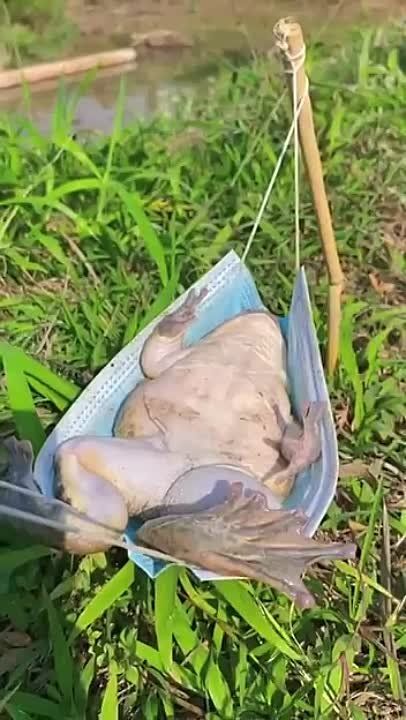 ������ ����, ������� ������!