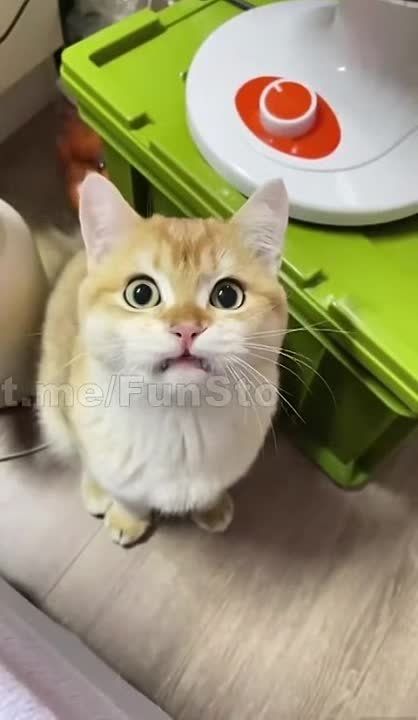 ������ ����!