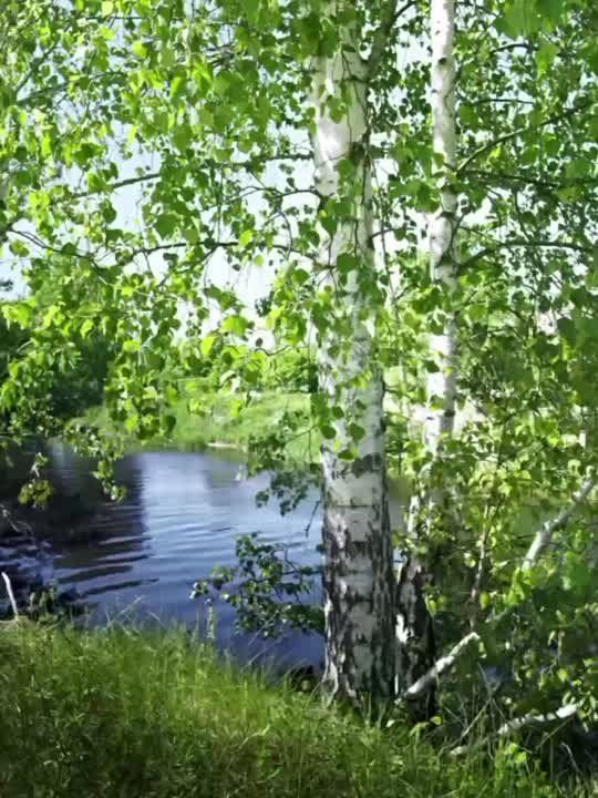 11 ������ � ������ �������� �������, �������� �������� ���� ������� ������
