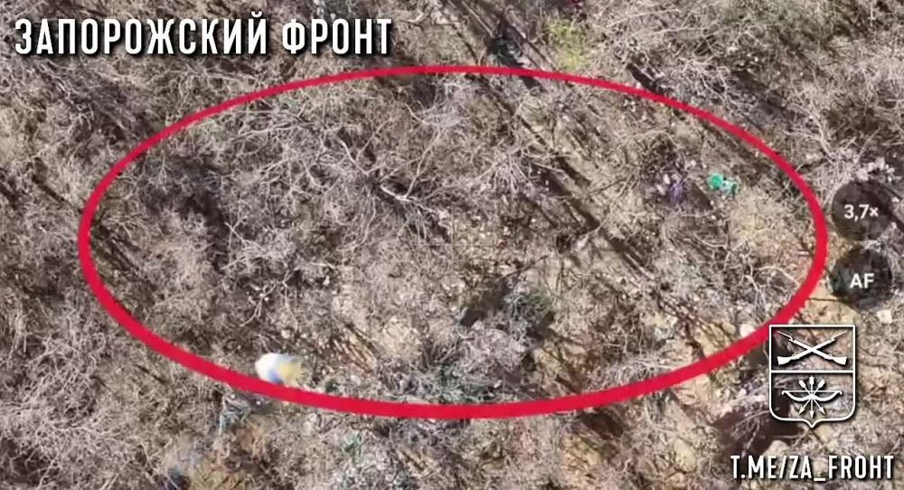 �������� �������� ���� 1 ��������� 429 ����� � �������� "�����" �������� �������� ��� �� ����������� �����������