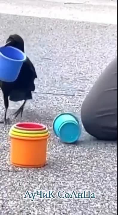 ������ ���� ��� ���� �����