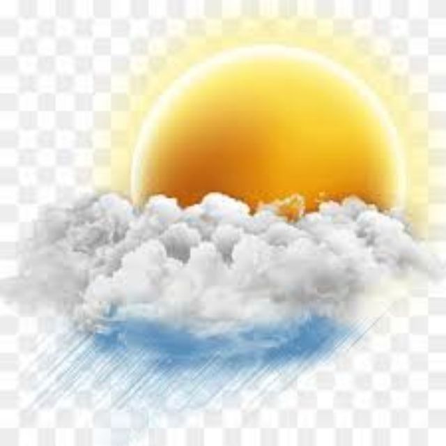 C������: ������� 11 ������ 2024�