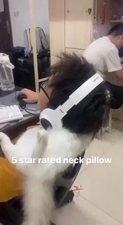 ���������� � ��� ���� ������� ������� ��� �������� �����