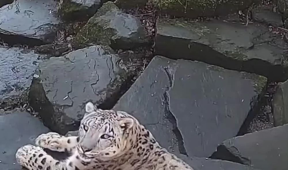 � �������� ���������� ����� ������ ����������, � ��� �������� ����� �������� �����