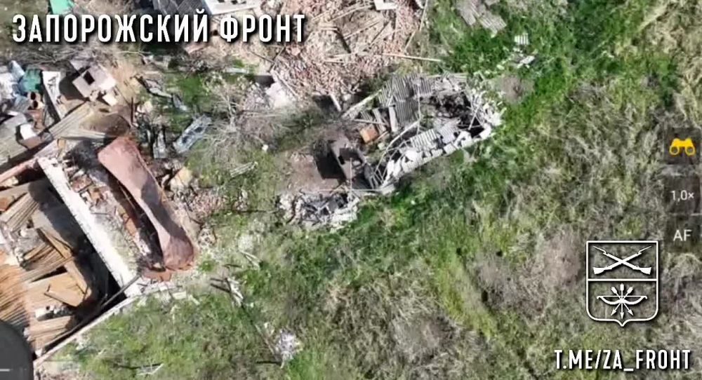 ���������� 392 ����� ������ ������� � ������������� ���������� ����� ����������� �� ����������� �����������