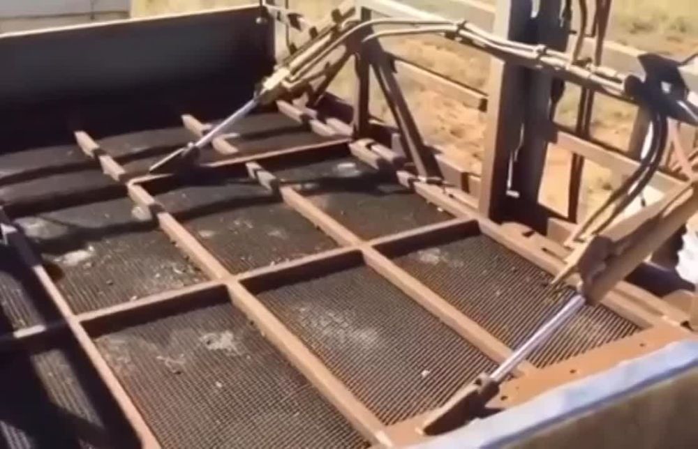 ������ ����� �� ����� ����� ������: ��� ���� ��������� ��� ��� ���������� �� ���������