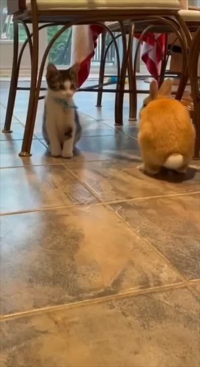 ������ ����!