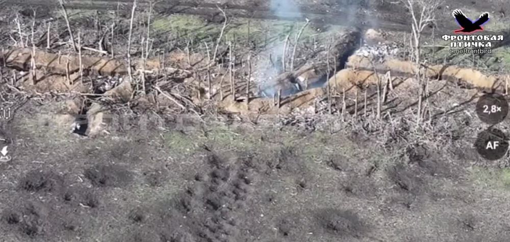 ����������� ��� � �� ��� ����������� �����������