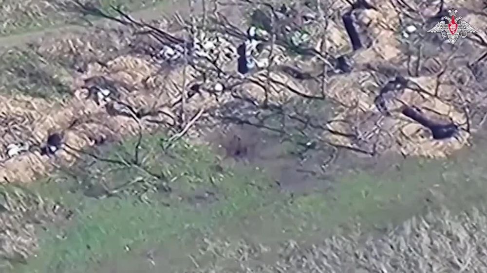 ����� ��������� ����� ����������� ���������� 3 �������������� ������ � ����� 15 �������� ��� � ����������� �������