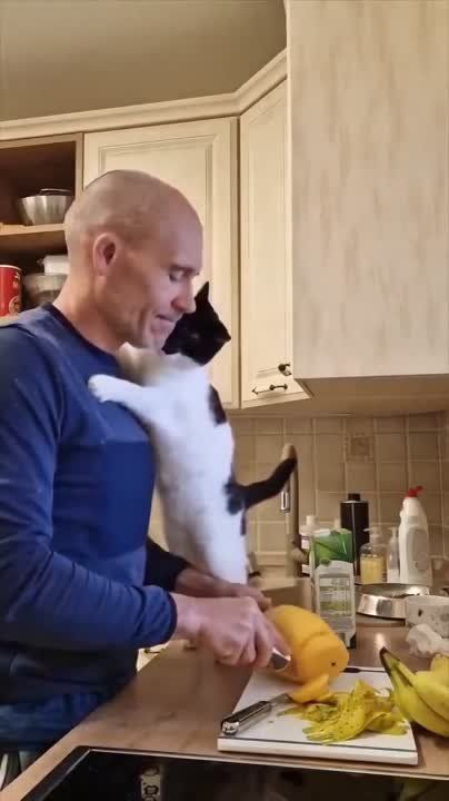 ����� �� ����� ������, ����� ���������