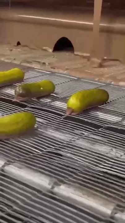 ��� ��� ������� �������� ��� ����� �� ���������: ������������ ������� ���������� ������ ������ � ��������, �������� �� � �������� �������