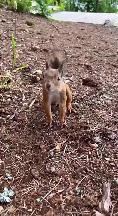 #�������������. �������� �� ����� �������