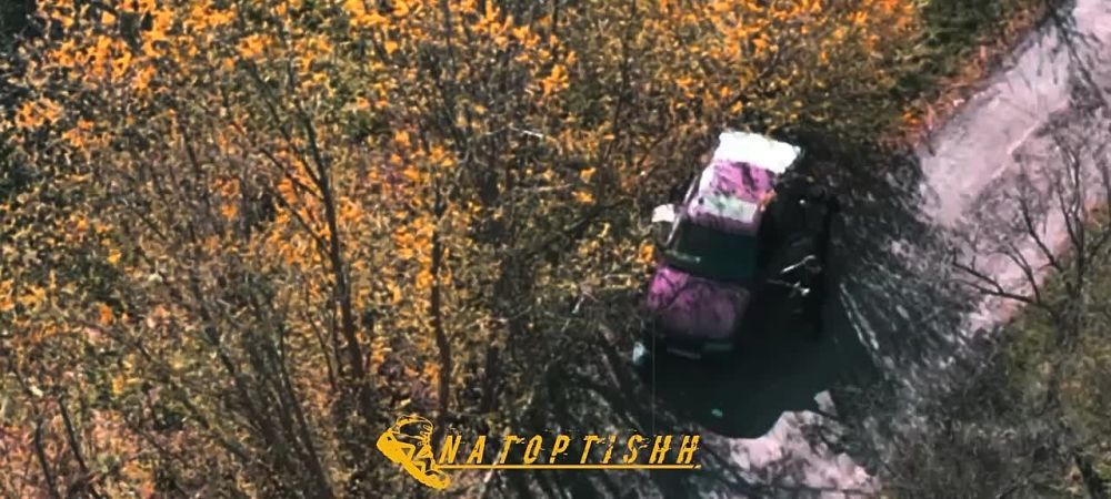 ����� ����������� ��������� ��������������� ������� ������ ������� � ��� ���������� � �.�