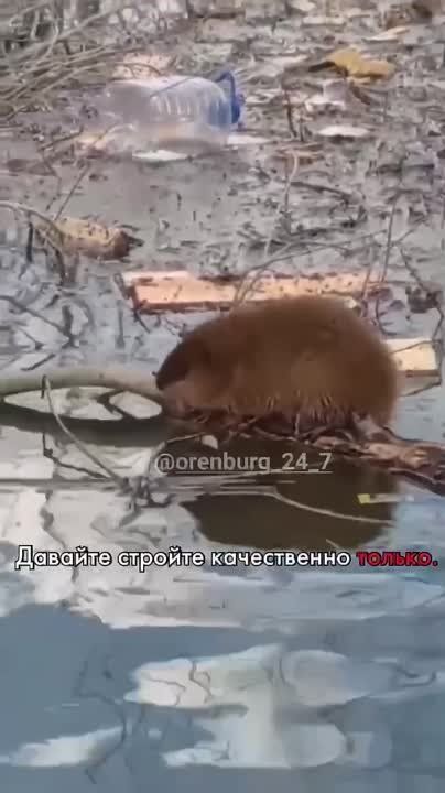 ����� ��� ������ ������� ������� � ����������� ������ �����