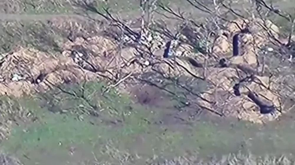 ����� �����: �������������� ��������� ��