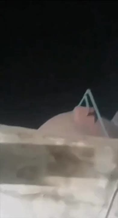�������� �����: ������ ������ ����� �� ������� ������ ������ ������� �������