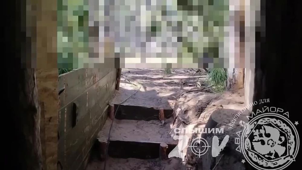 ��� ������: ����������� �����. �������. �� ����� ������ �� "������" ��������. ������ 40 ����� �������