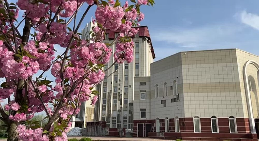 ����� ��������: ������ � ����������. ��� ���� �� ���, ��� ���� � ������ ���������