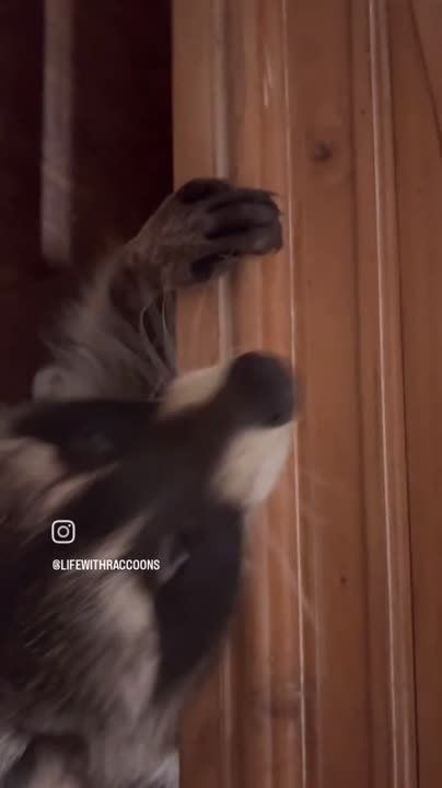 ������ ����, ������! �������� ��� ��� � ��������� ����������!