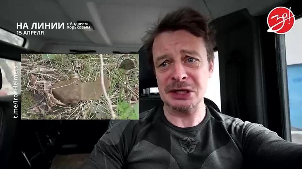 ��������� ���������� �� ������ ������ � ������� ��������� � ��������� ��� ����� | 15 ������