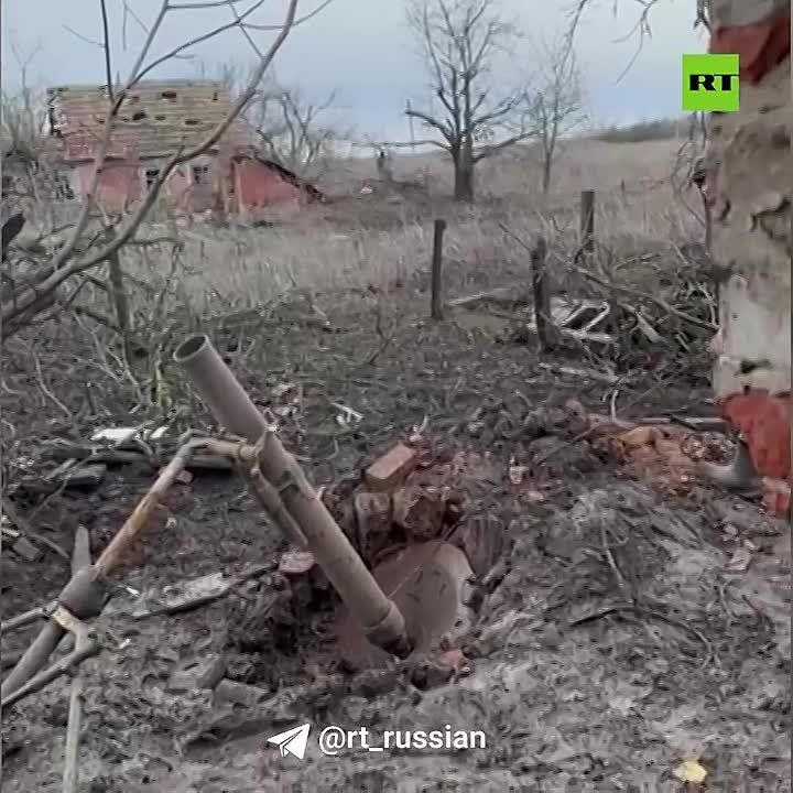 ���������� ����������� ������ ������� ������� ����������� ��� �� ����������� �����������